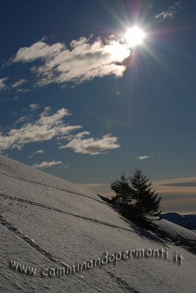 13 Panorama.jpg